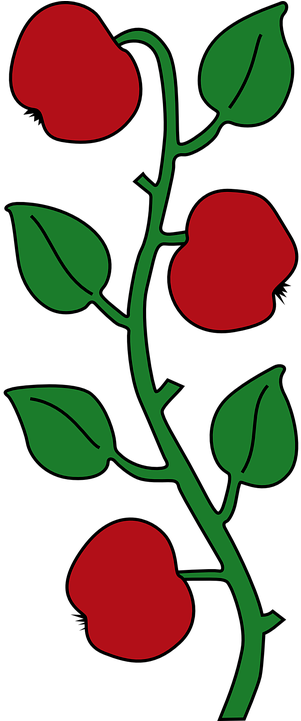 Rose Vine Cliparts 21, - Affoltern Am Albis (360x720)
