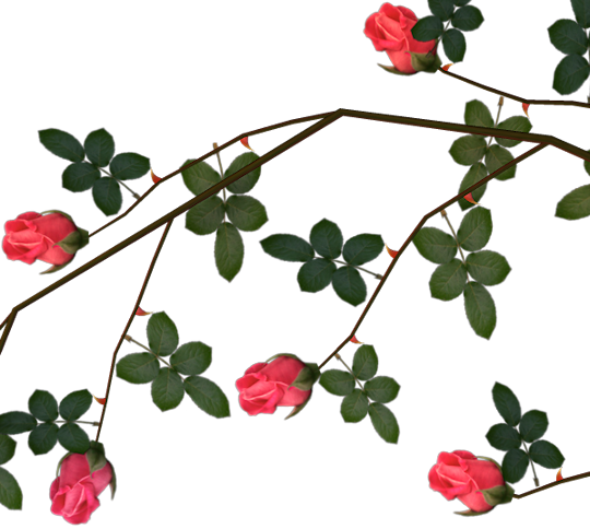 Clip Art Graphics - Roses With Thorns Png (540x484)