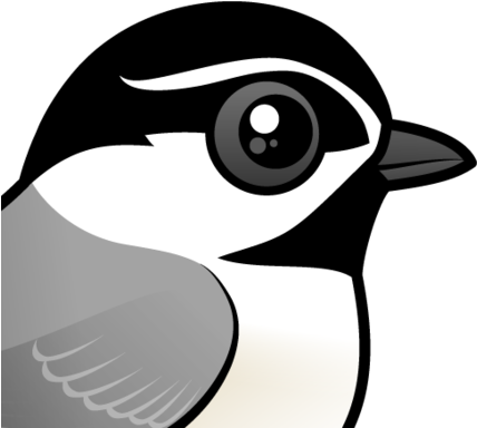 About The Mountain Chickadee - Black Capped Chickadee Cartoon (440x440)