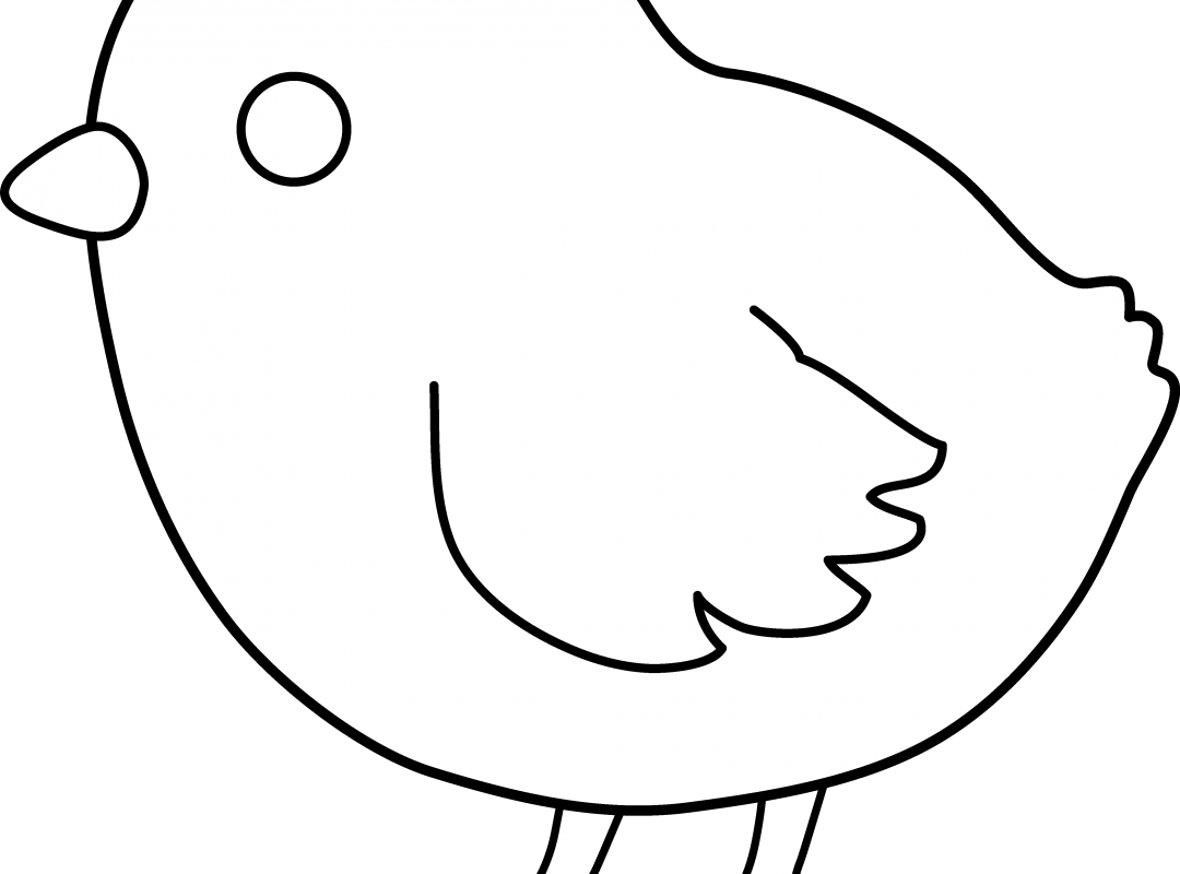 Baby Chick Hatching From Egg Coloring Page Free Printable - Clip Art (1080x800)