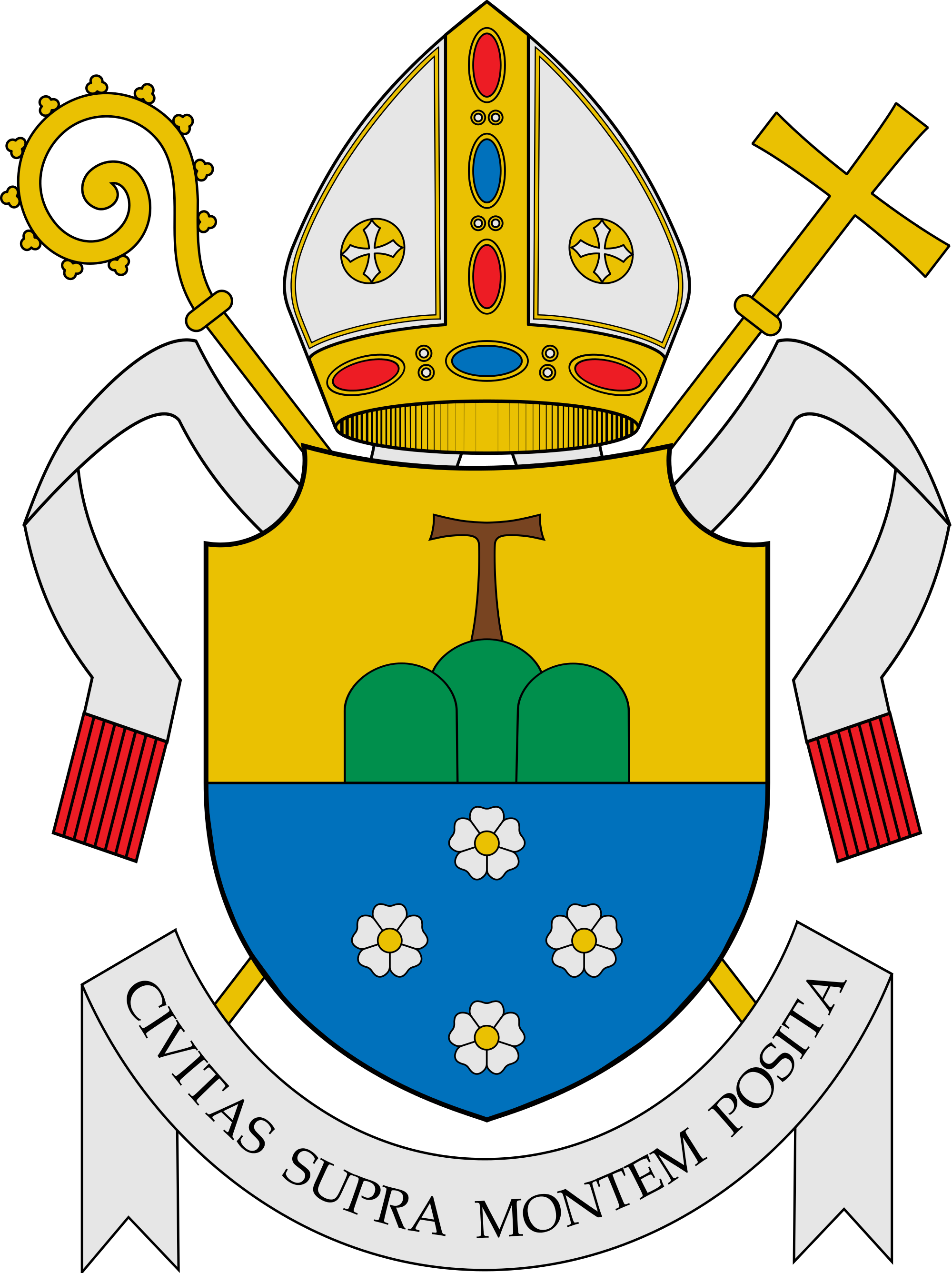 Ecclesiastical - Roman Catholic Diocese Of Cubao Logo (2000x2673)
