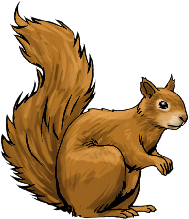 Squirrel Clip Art - Squirrel Clip Art (455x477)