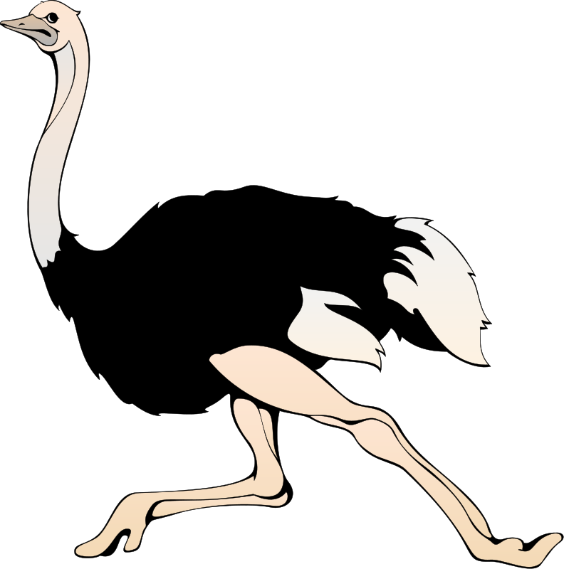 Running Ostrich Clip Art - Words With Letter O (792x800)