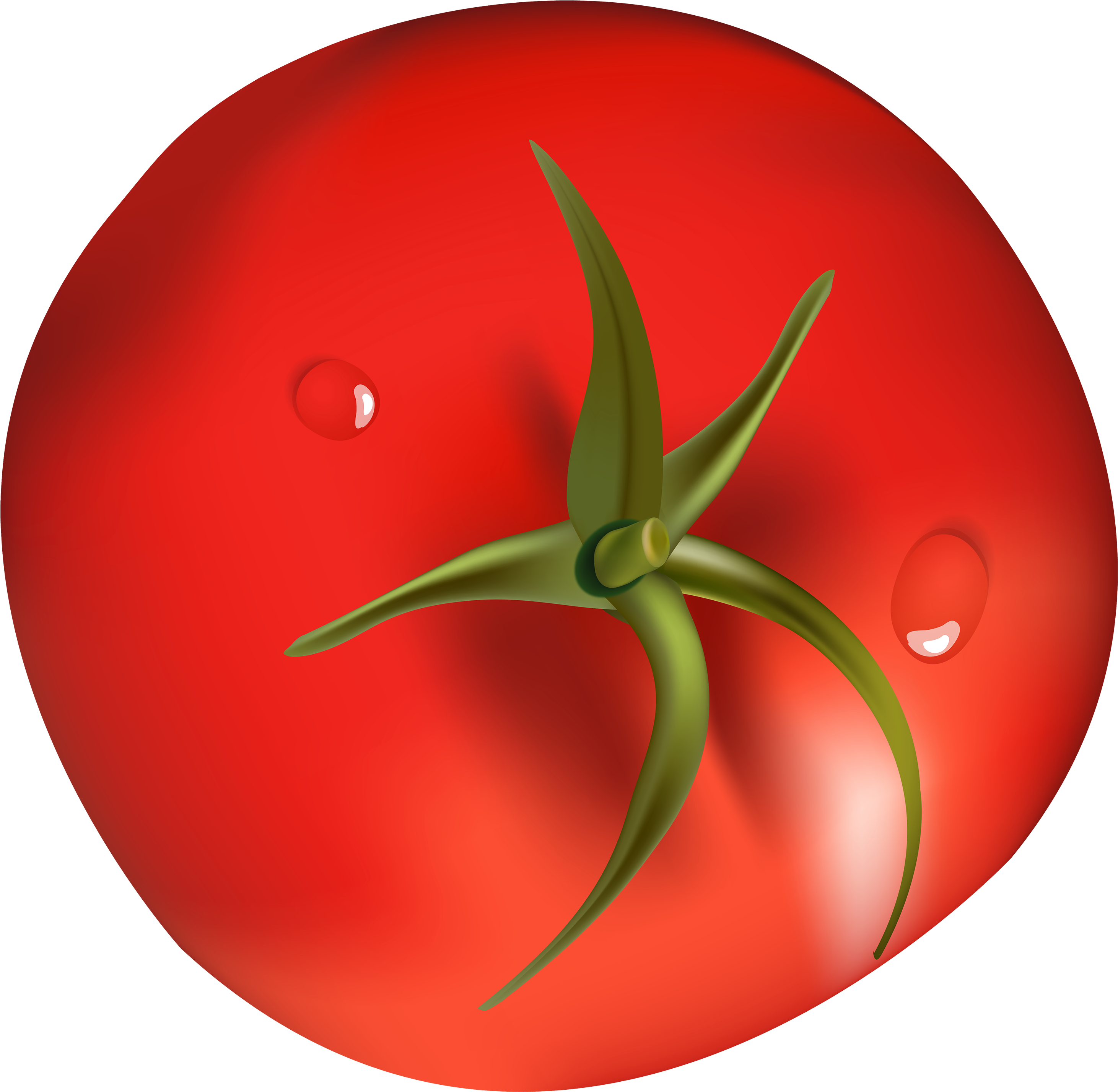 Tomato Png Clipart - Clip Art (3000x2933)
