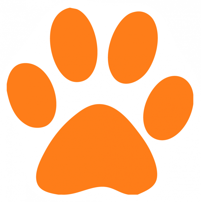 Incredible Paw Clipart Free Orange Cat Pictures Download - Dog Paw Print (797x800)