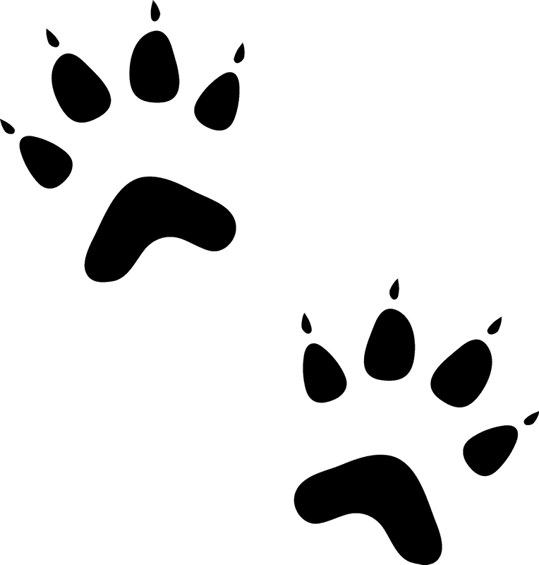 Cat Paw Prints Rubber Stamp - Cat Paw Prints (764x800)