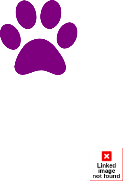 Paw Print Pink Clip Art At Clker - Dog Paw Print Png (402x593)