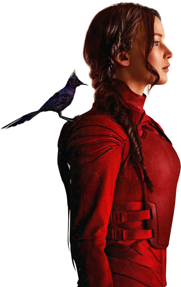 Los Juegos Del Hambre Sinsajo (711x1124)