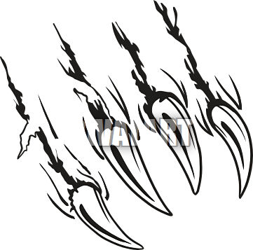 White Claws Cliparts Together With Clip Art Dog Paw - Clip Art Bear Claw (361x357)