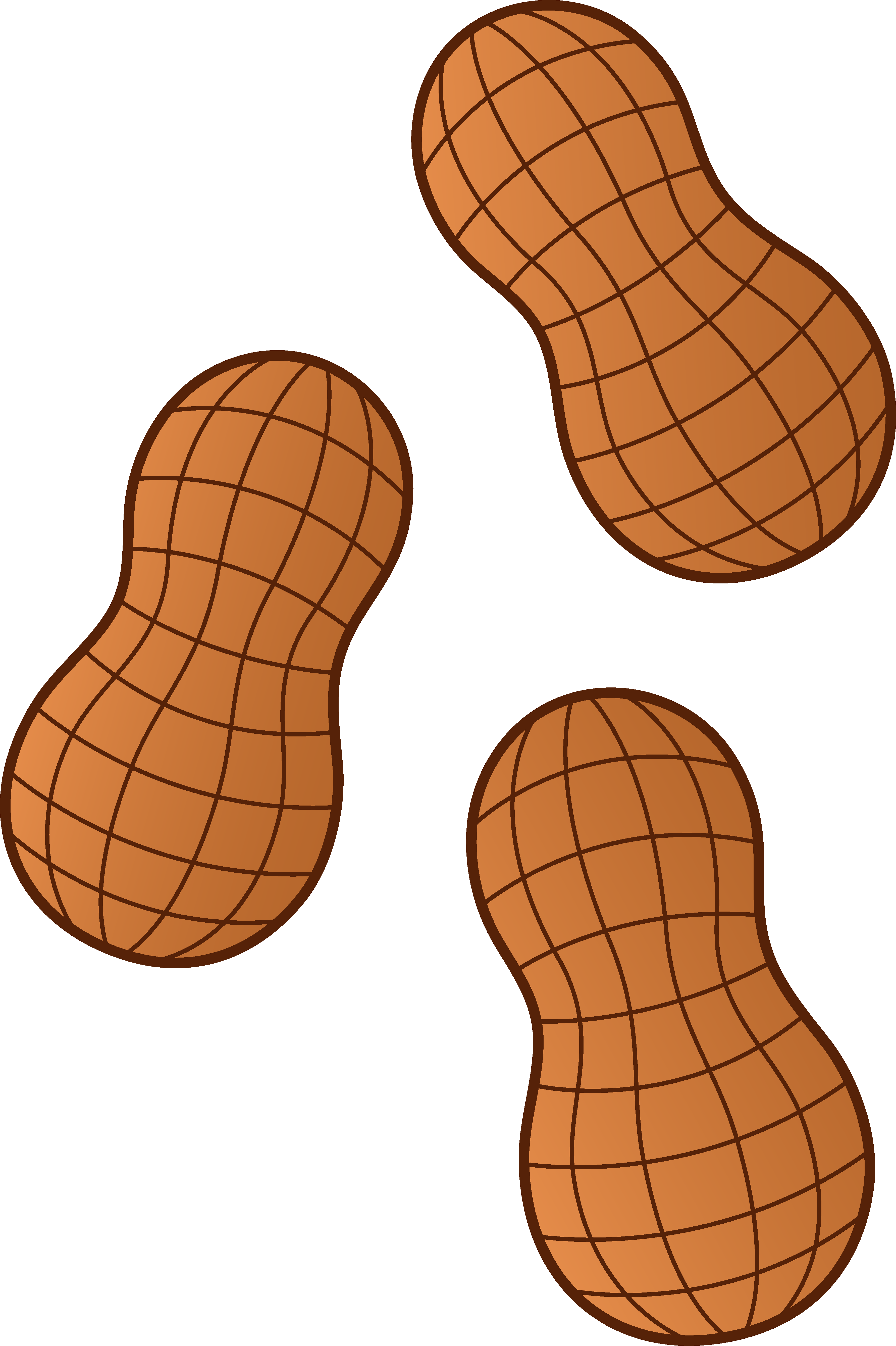 Nut Clipart Peanuts Png - Peanuts Clipart (3567x5357)