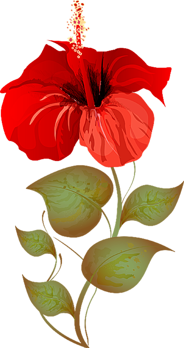 Craft - Hibiscus Plant Clipart (735x1385)