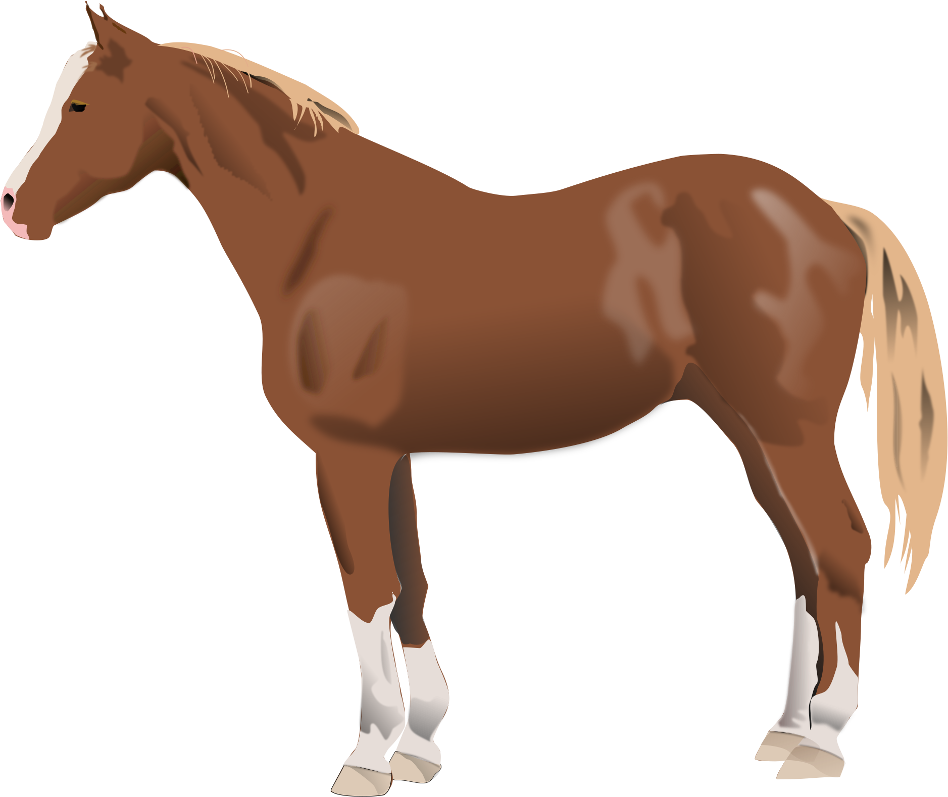 Horse - Lexington Parks And Rec (2400x1800)