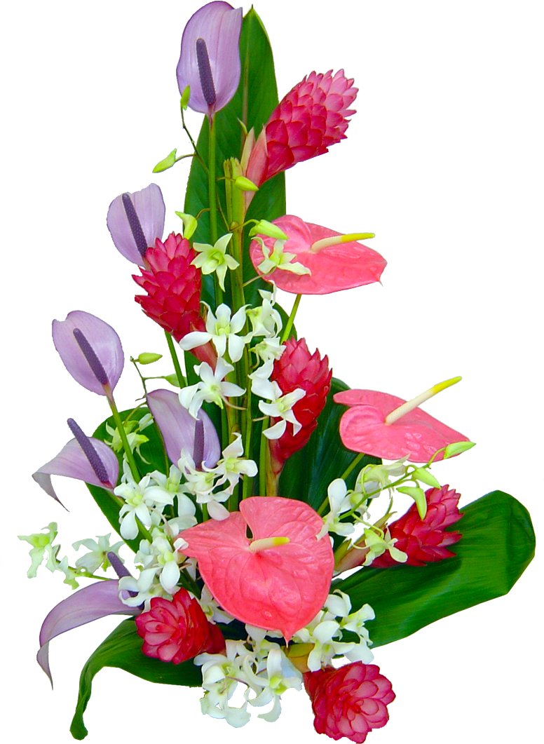 Orchid Flower Clipart - Flower (1200x1200)