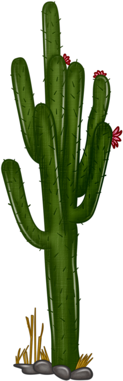 Arbre,tubes,png - Project (427x800)