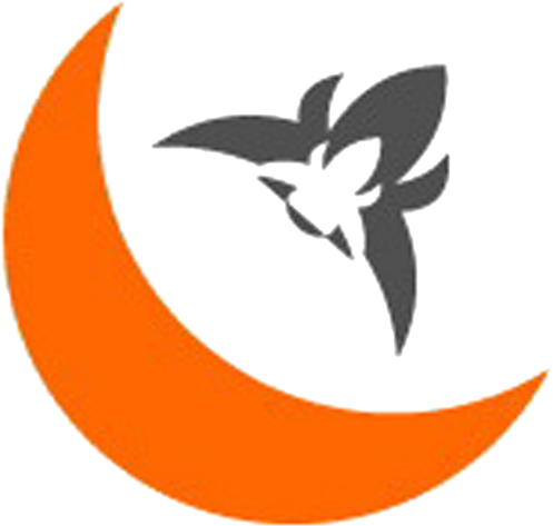 Orange Moon Orchids - Crescent Orange Moon Png (500x483)