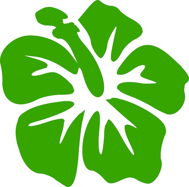 Flower Hibiscus, Rose Of Sharon, Decoration, Floral, - Luau Flower (640x634)