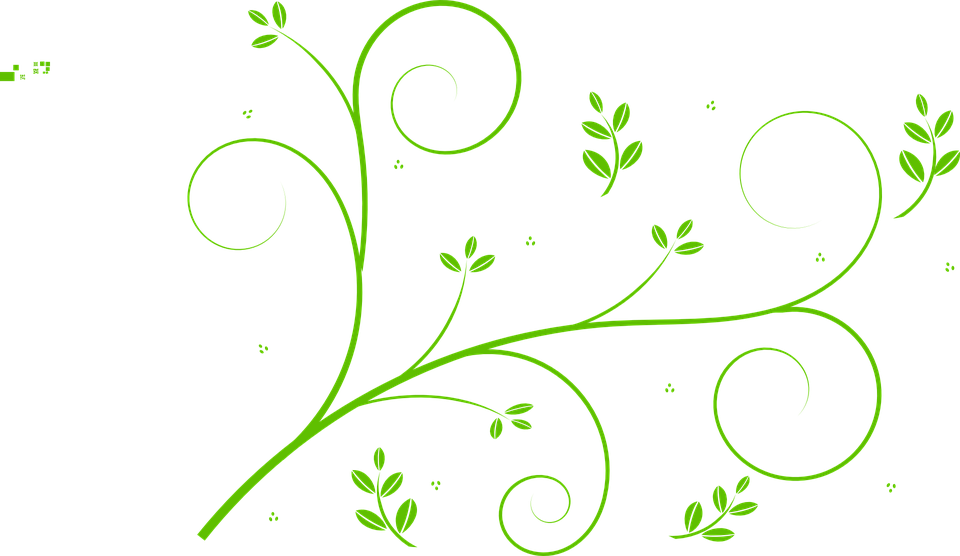 Vines Clipart Png (960x556)