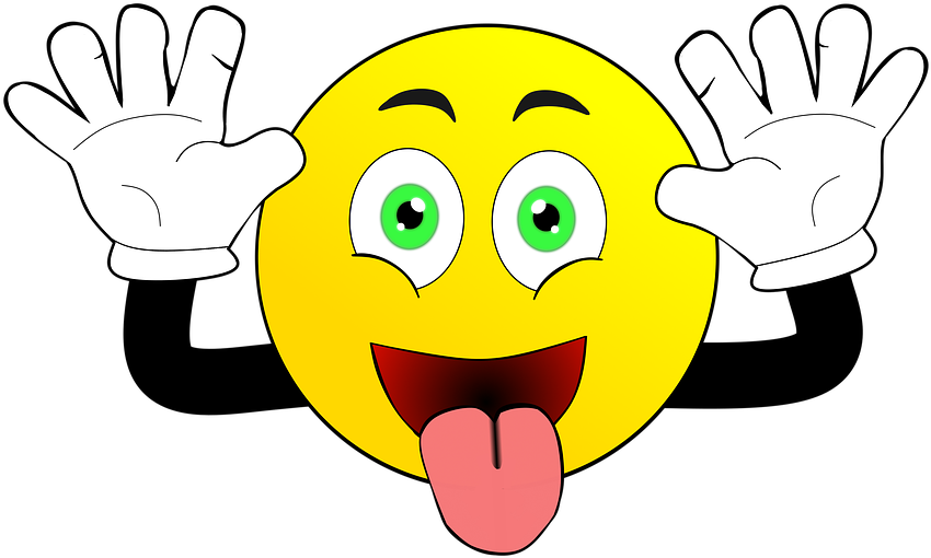 Facial Expression Smiley Frech Albern Blöd - My Dildo Diary: Blank Lined Journal - 6x9 - Funny Gag (960x554)