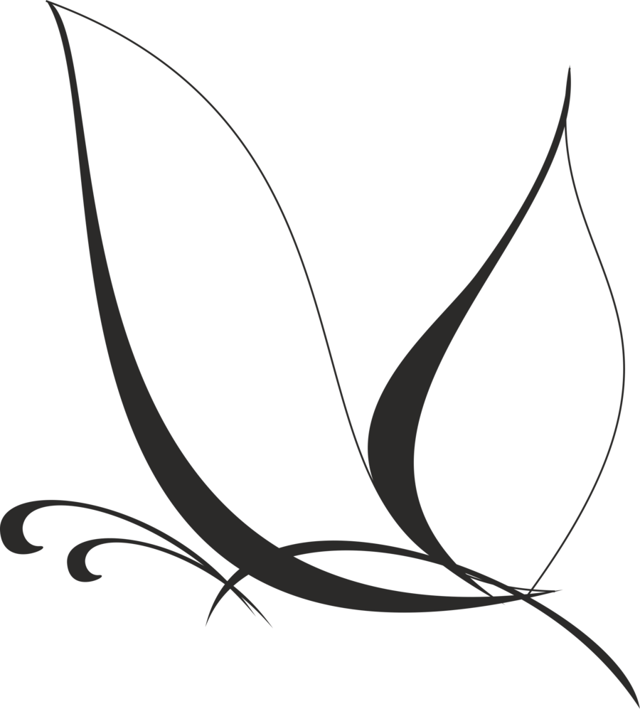 Black And White Clip Art Free Butterflies - White Butterfly Vector Png (900x997)