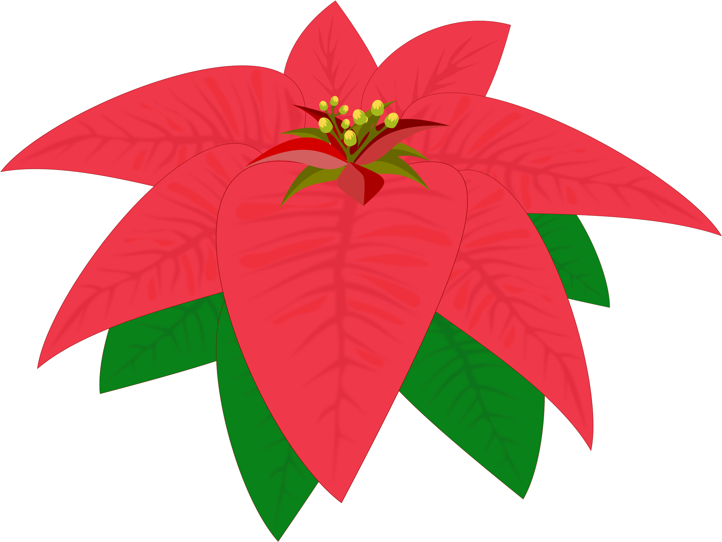 Bico De Papagaio, Clipart, Flor, Flora - Clip Art (1280x920)