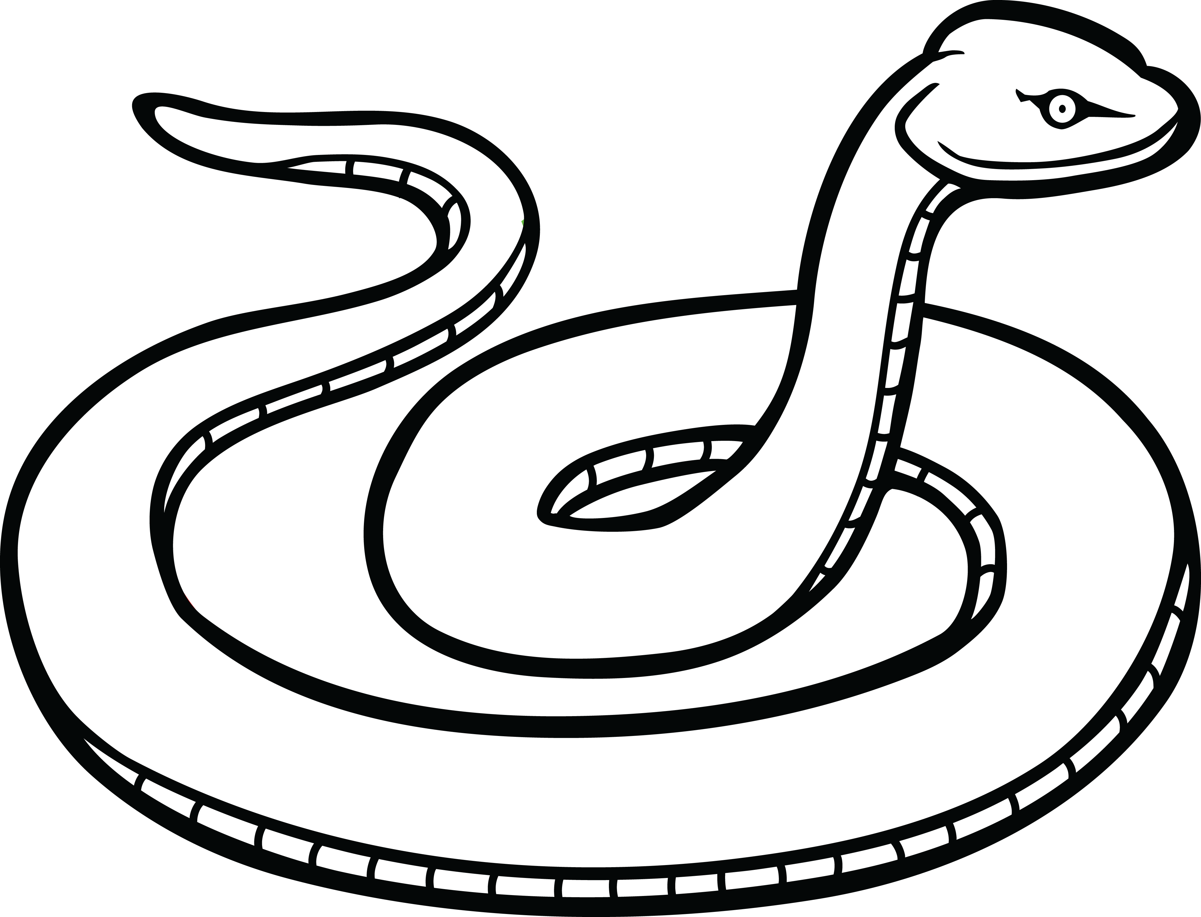 Free Clipart Of A Snake - Clip Art Of Snake (4000x3054)