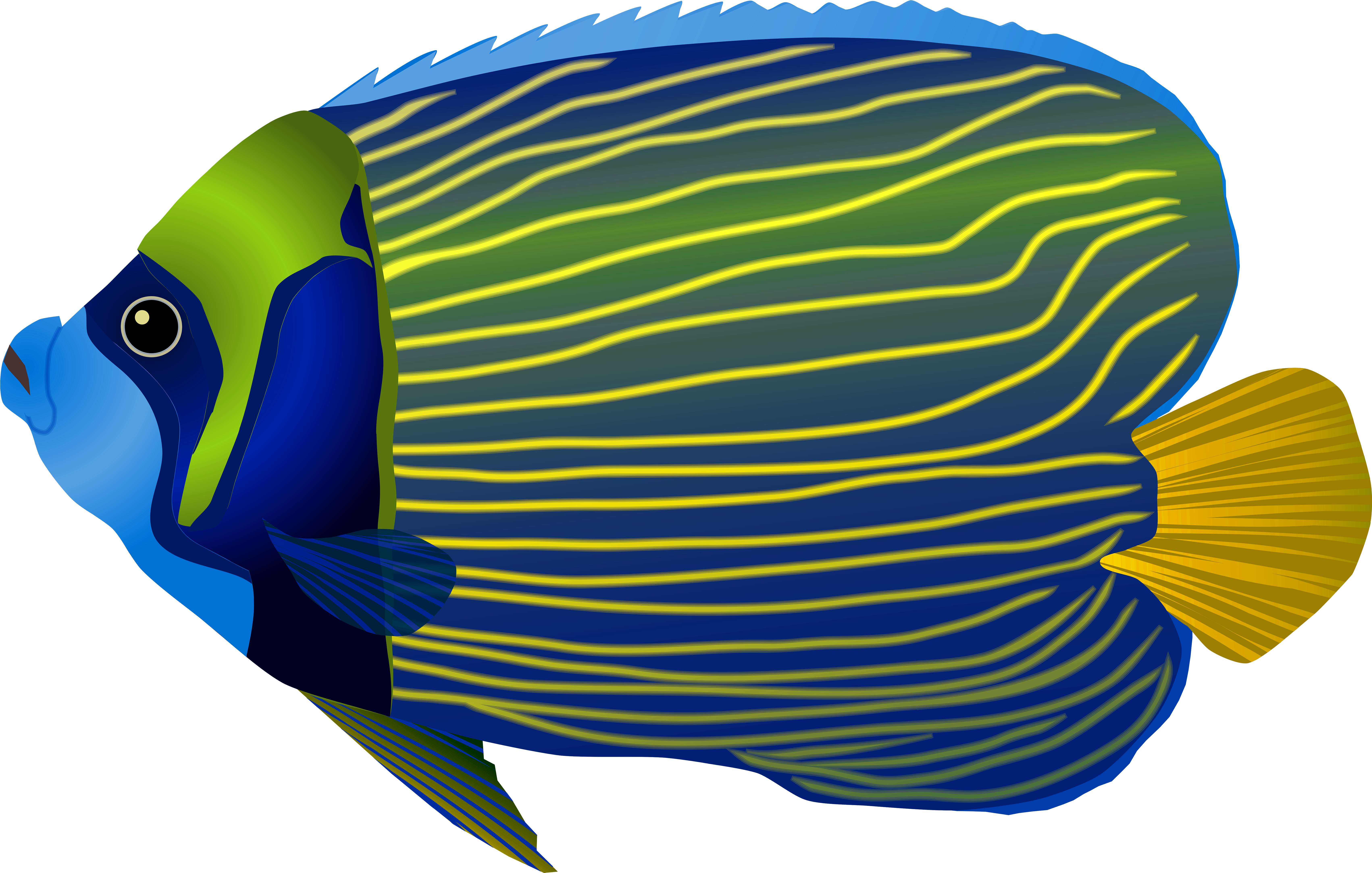 Blue Fish Png Clip Art Image - Wurfs-kissen-tropische Fische Kissen (7000x4452)