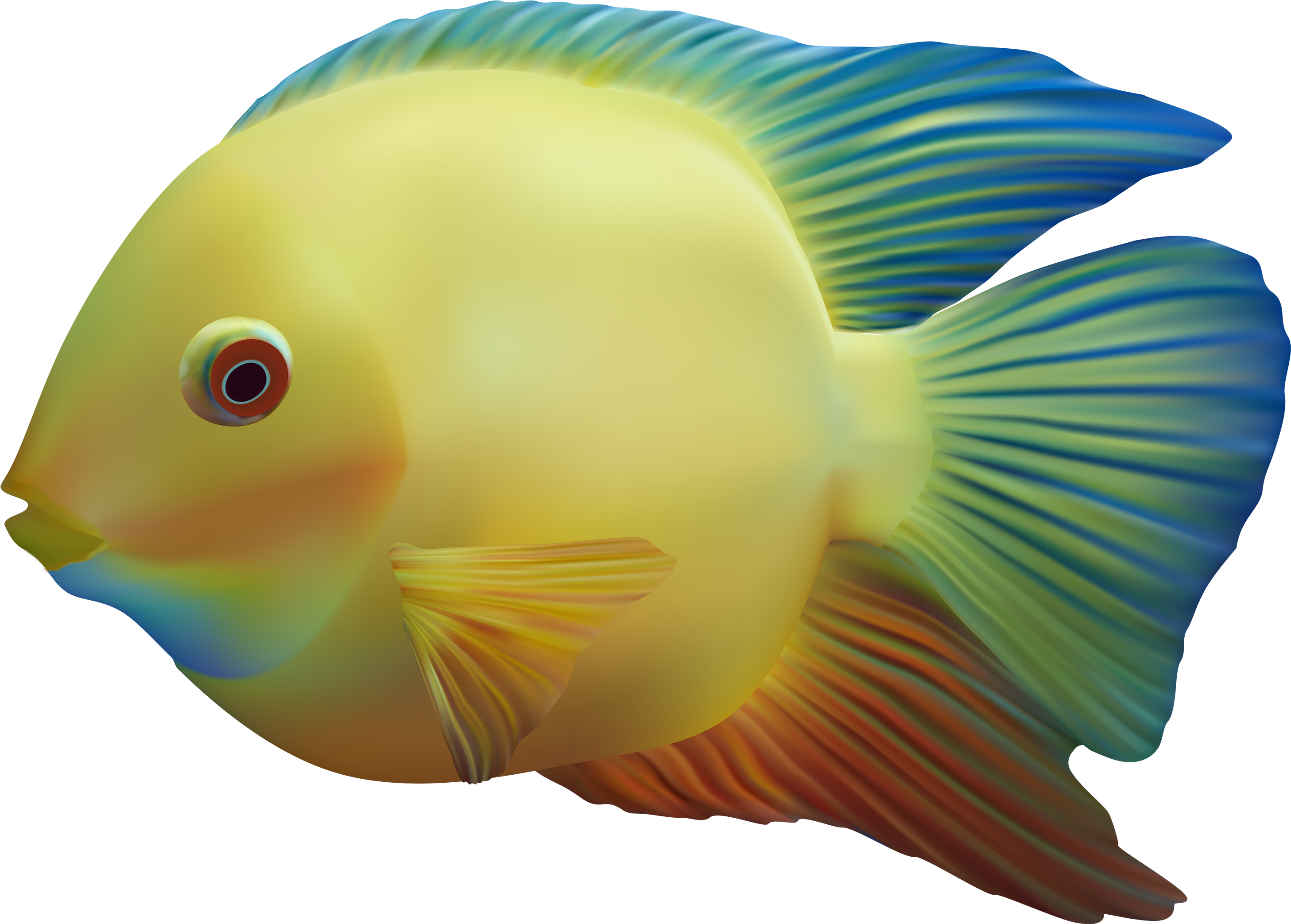 Fish Png - Fish Png (3060x2189)