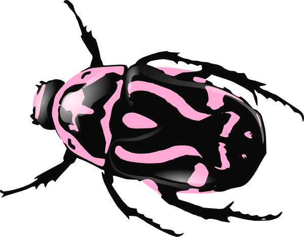 Beetle Pink Clip Art At Clker - Beetle Clip Art (600x468)