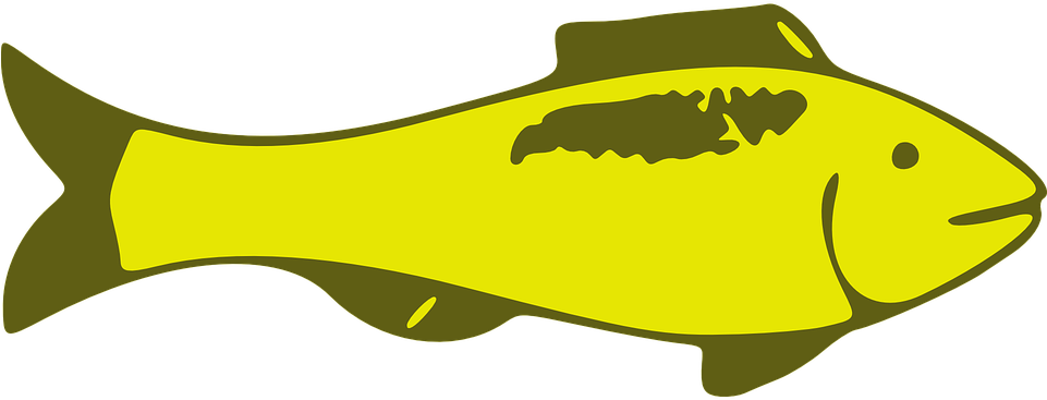 Custom Yellow Fish Shower Curtain (960x480)