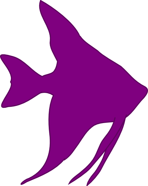 Angelfish Clipart Pink Fish - Cartoon Angel Fish Clipart (474x597)