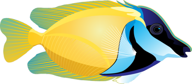 Amazing Clip Art Of Ocean Life - Tropical Fish Clip Art (639x281)