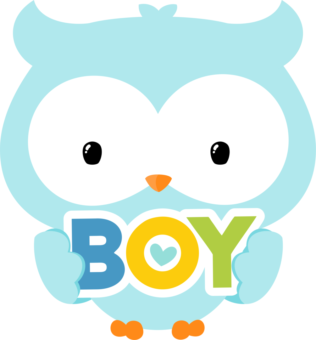 Ver Todas Las Imágenes De La Carpeta Png - Baby Owl Cartoon Boy (1005x1080)