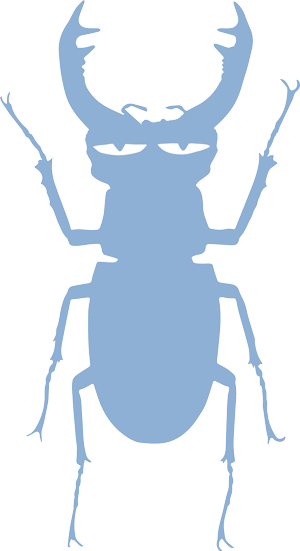 Sonntag, 23 - - Science Bugs (300x551)
