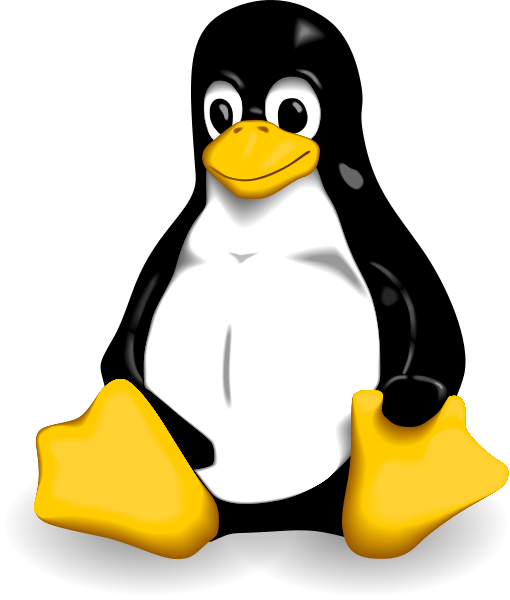 30 - 10 - 2011 - Pinguin - Linux Logo Png (510x600)