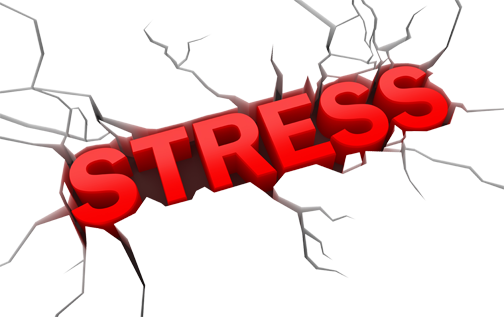 Word Stress (504x317)