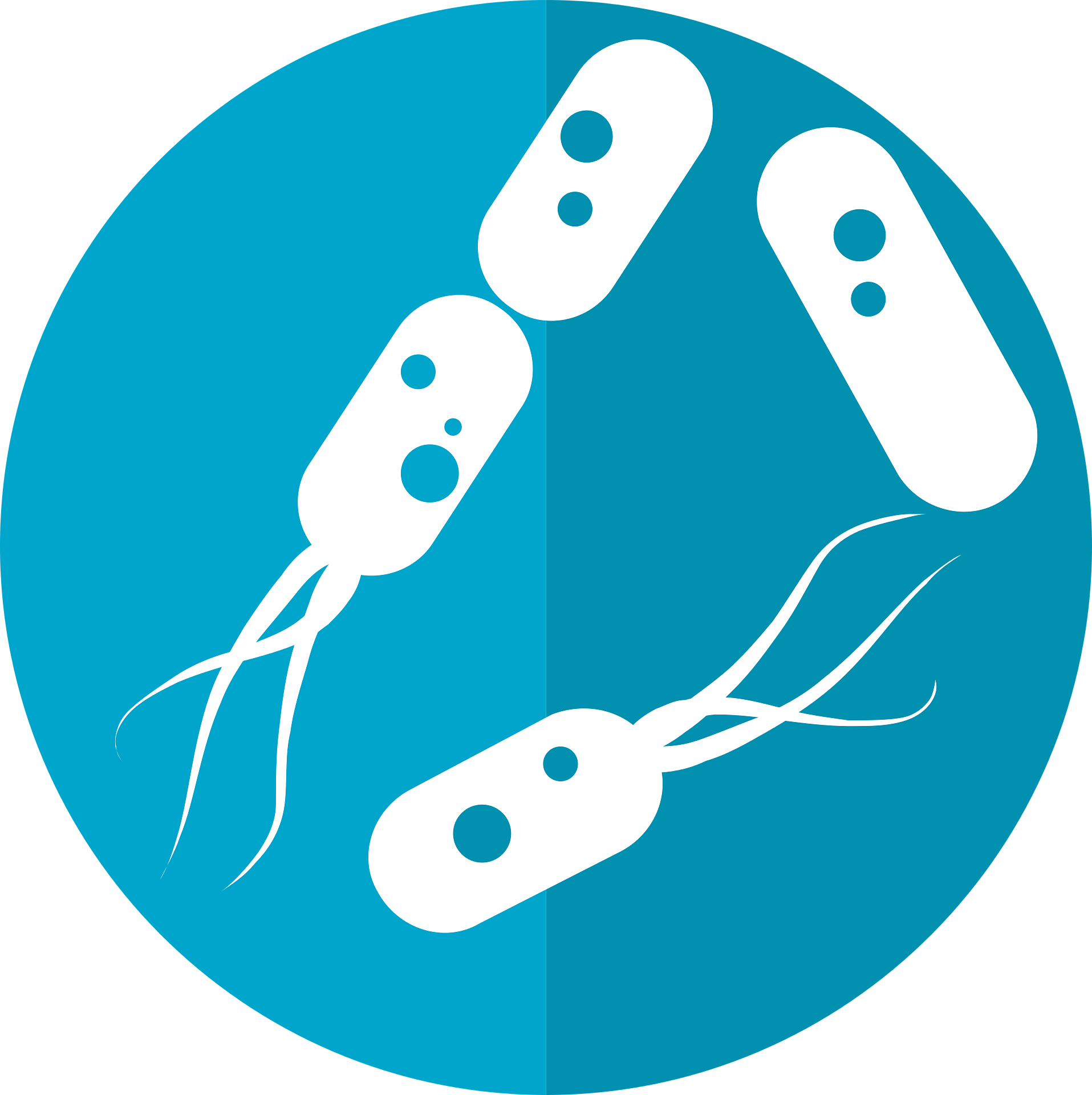Bacteria Icon, Microbiome Icon - Bacterias Png (1915x1920)