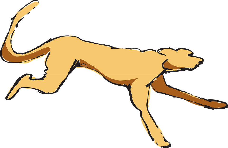 Running, Art, Pet, Animal, Fur - Dog Running Png Gif (960x624)