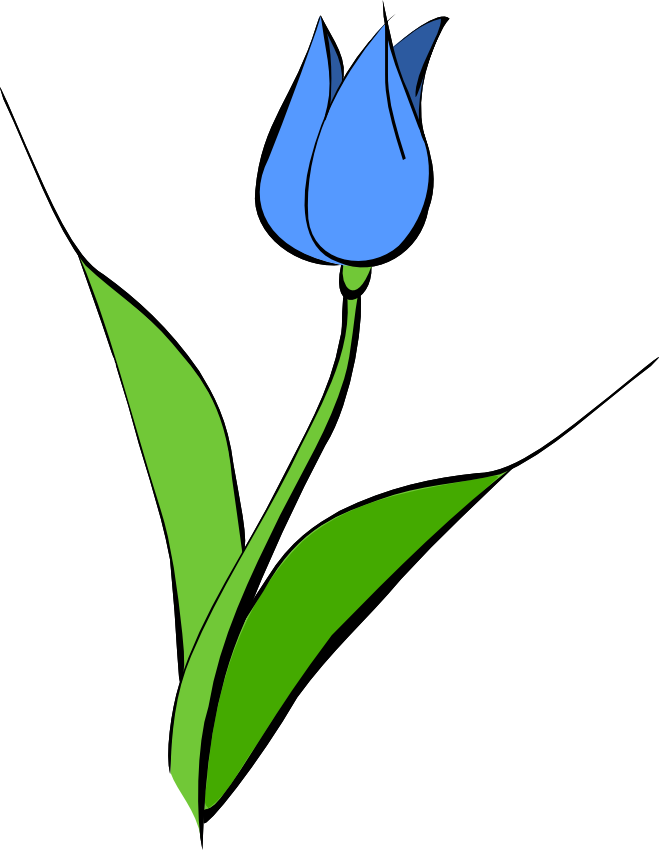 Film Reel Clipart - Blue Tulip Clipart (659x850)