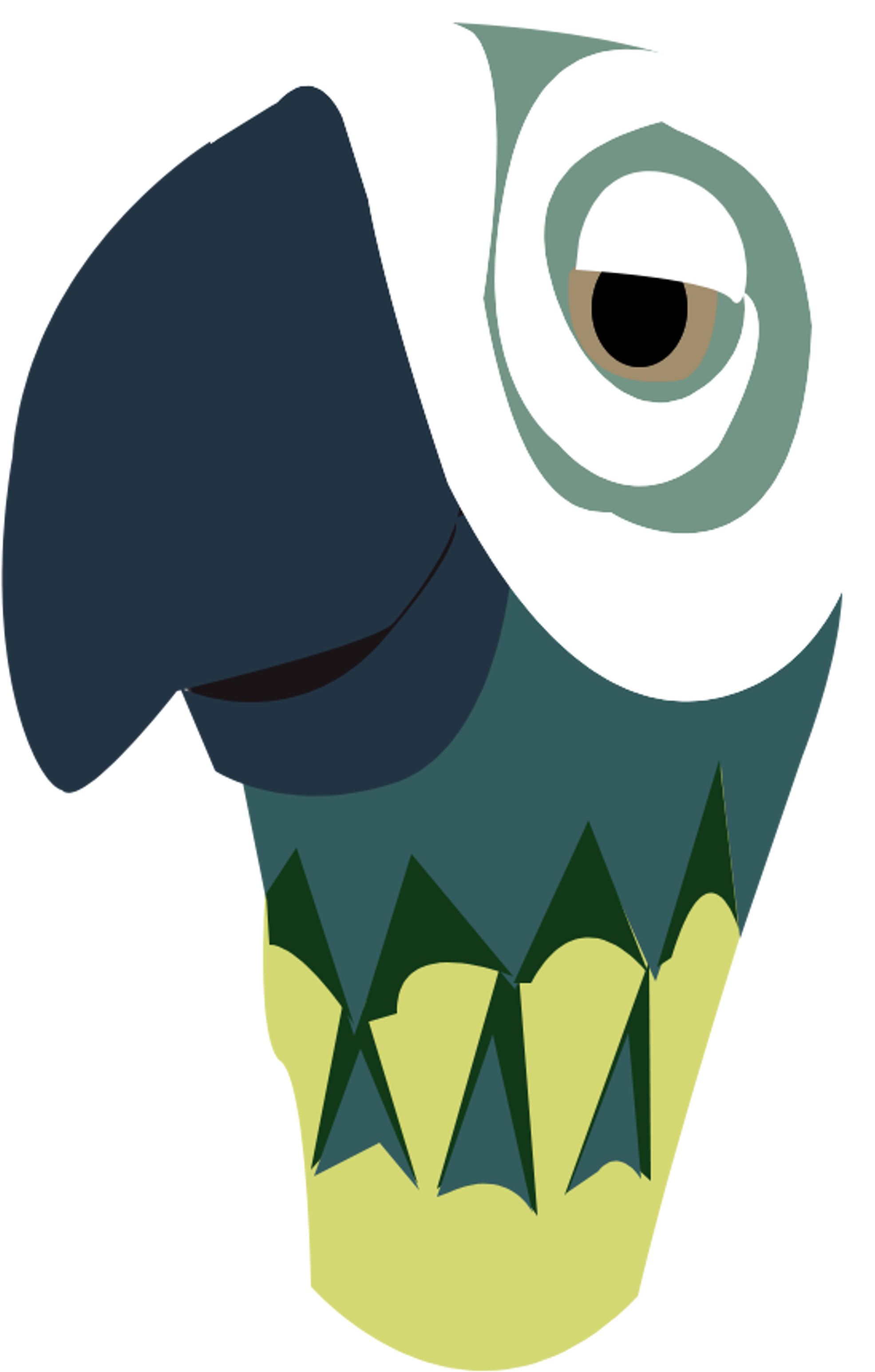 Mary Poppins Umbrella Clipart - Mary Poppins Parrot Head Umbrella (2400x3200)