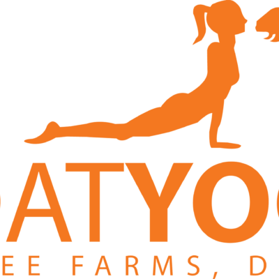 Goat Yoga At Pingree Farms In Detroit, Mi - Goat Yoga At Pingree Farms In Detroit, Mi (400x400)