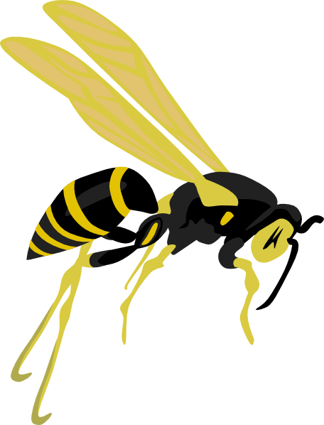 Flying Wasp Clip Art - Wasp Clipart (456x598)
