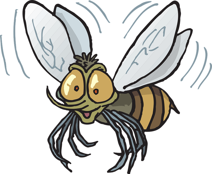 Image Of Flying Bee Clipart Fly Bee Vector Clip Art - Insect Flying Clipart (878x720)