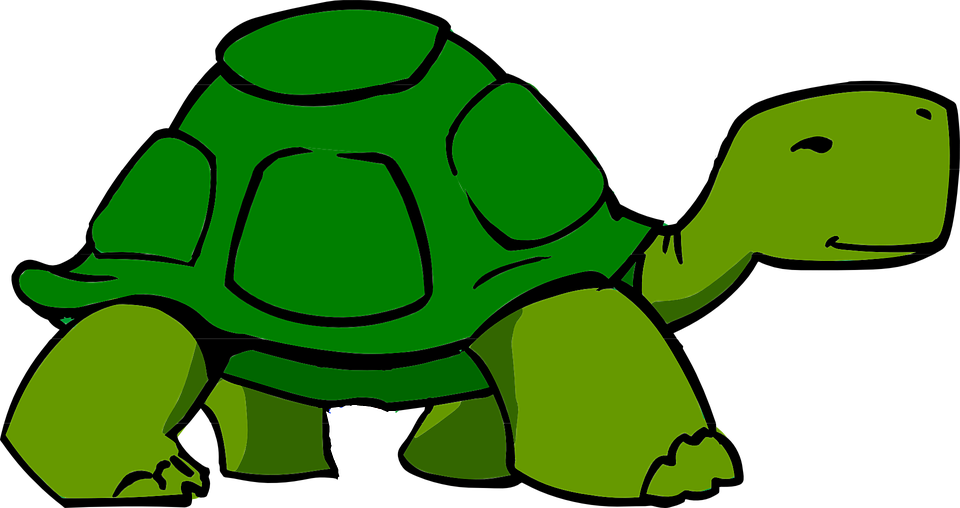 Turtle Images Cartoon - Slow Clipart (960x508)