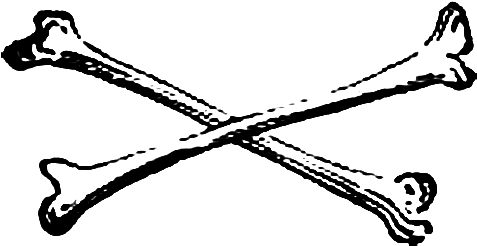 Clip Arts Related To - Transparent Bones (500x294)