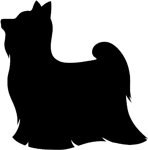Small Dog Clipart - Long Hair Yorkie Silhouette (520x514)