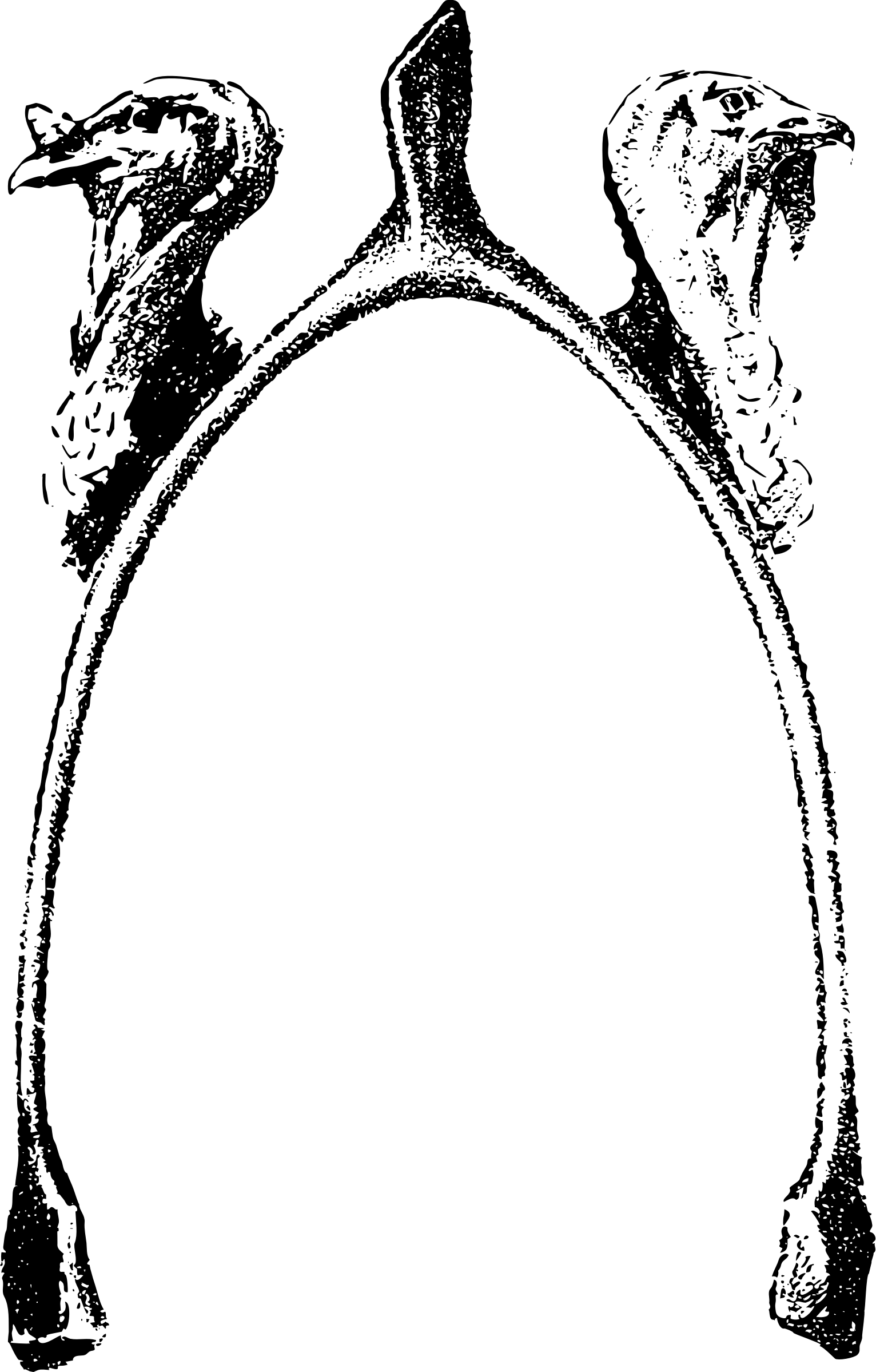 Turkeys With Wishbone - Cool Borders For Microsoft Word (1532x2398)