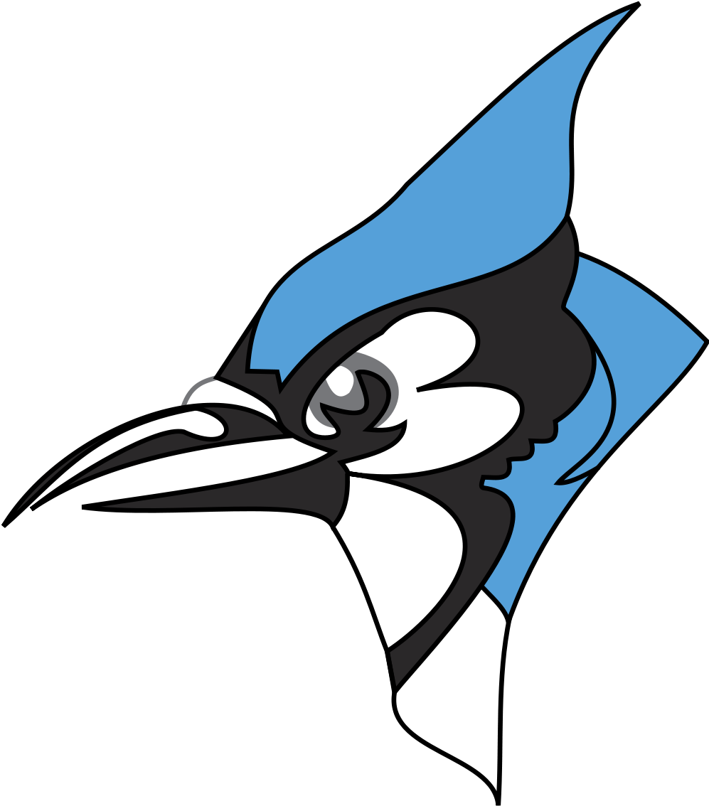 Blue Jay Clipart Head - Johns Hopkins Blue Jay (1000x1167)
