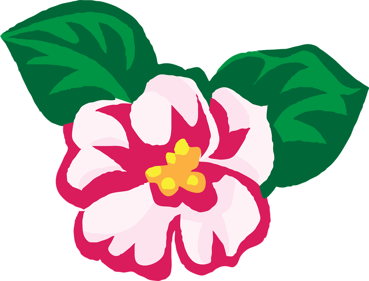 National Flower Of Nepal Drawing (1280x974)