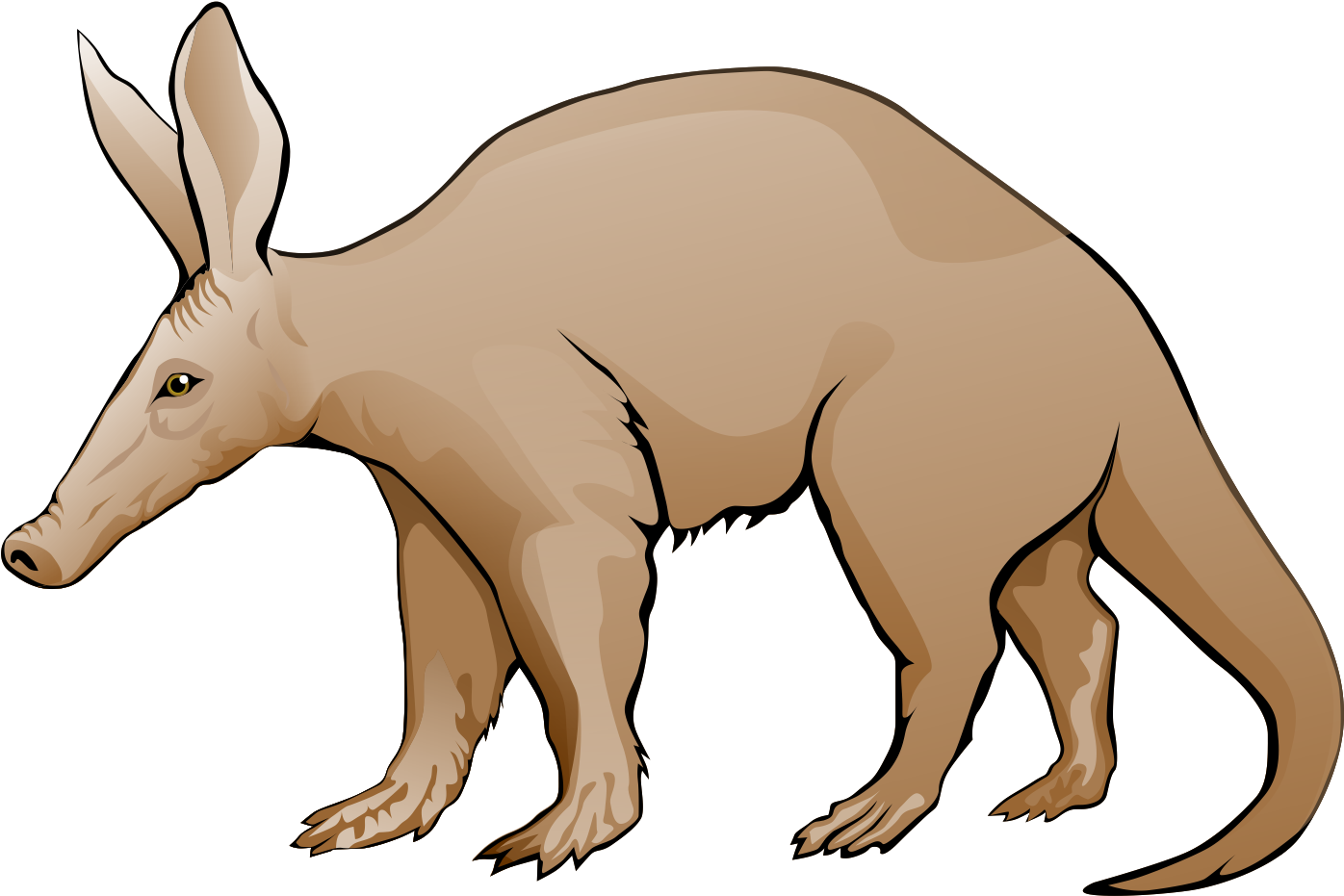 Aardvark Clip Art - Ant Eater Clip Art (1627x1106)