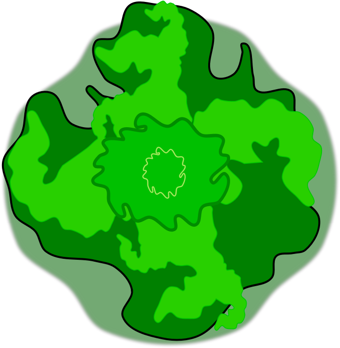 Tree-03 - Clip Art (800x800)